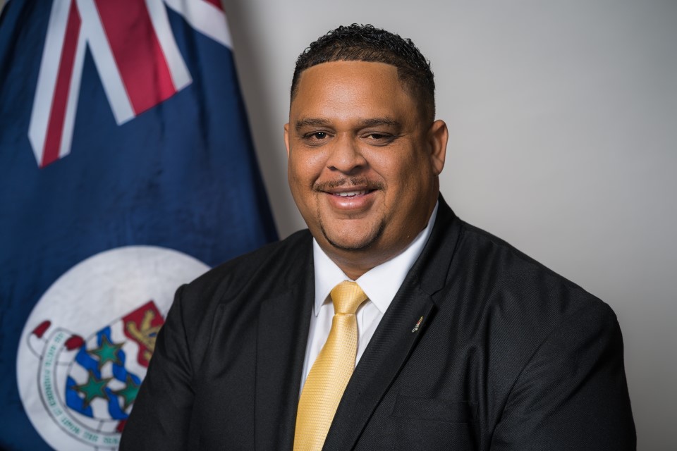 Parliamentary Secretary image